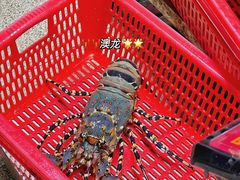 -蚝专家(北滘店)