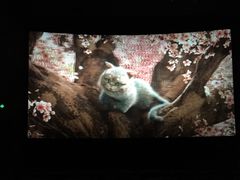 -CGV影城(梅江ScreenX店)