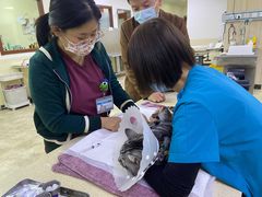 -美联众合动物医院·24h转诊中心