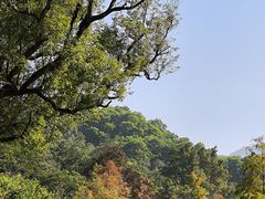 -云溪植物园
