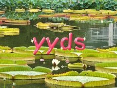 -国家植物园南园