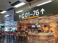 -维也纳国际机场