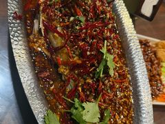 -百味地锅鸡(二店·财校分店)