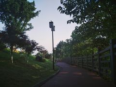 -铁山坪森林公园