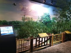 -中国湿地博物馆