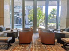 -大堂吧·雪茄吧·威士忌·下午茶(深圳机场希尔顿逸林酒店)