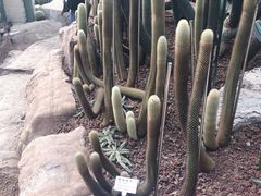 -南通洲际绿博园