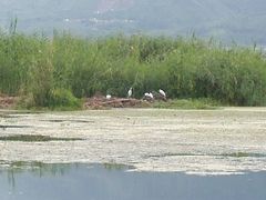 -大理洱源西湖景区