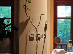 -益康盲人推拿按摩(长虹店)