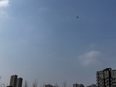 -四里河滨水生态公园