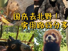 -北京野生动物园