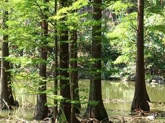 -水濂山森林公园