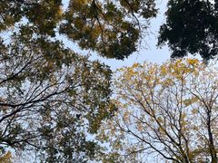 -月坛公园
