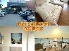 -广东惠东海龟国家级自然保护区