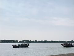 -大湾区中央湿地公园-十九涌