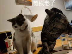 -有何Book(六堰体育馆店)