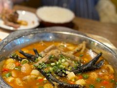 -老号尤兔头(幸福店)