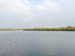 -苏州太湖湖滨国家湿地公园