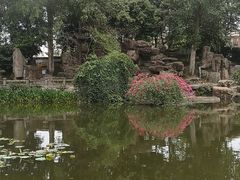 -黄龙溪古镇