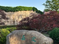 -嘉定紫藤园