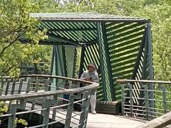 -西湖风景区-江洋畈生态公园