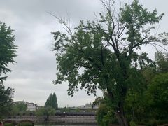 -东坡赤壁风景名胜区