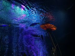 -沈阳海洋探索中心