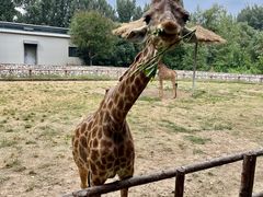 -北京野生动物园