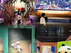 -中国湿地博物馆