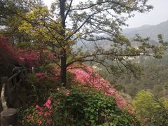 -木兰云雾山