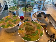 -上海外滩茂悦大酒店