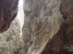 -牛背梁国家森林公园