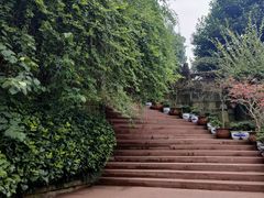-峨眉山报国寺