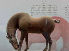 -衢州市博物馆