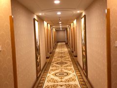-维也纳酒店(南京奥体中心店)