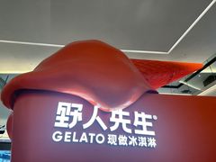 -野人先生现做冰淇淋(北京王府井东方新天地店)
