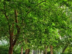 -北京动物园-畅观楼