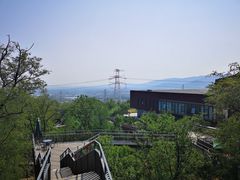 -紫云台香草园