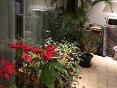 -春晖园度假酒店温泉