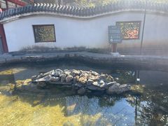 -红螺寺