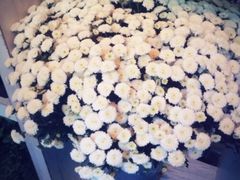 iphone_upload_pic-北平国际青年旅舍(南锣鼓巷店)