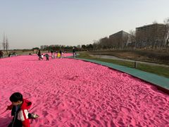 -春花秋色城市公园