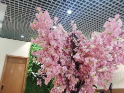 -久匠·纹眉纹绣半永久