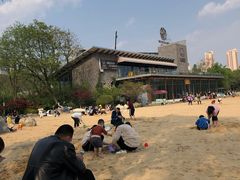 -青枫公园