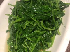 -樽宴酒楼·地道川菜·品质宴请