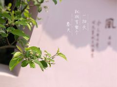 -时间集(东润·泰和苑店)