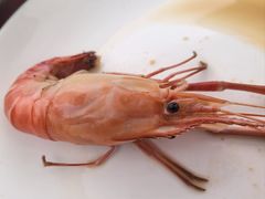 -品鲜村农家菜·阳澄湖大闸蟹(总店)
