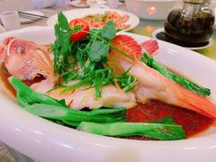 东星斑-有腥气私房菜·寻味顺德