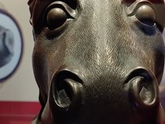 -荆州博物馆