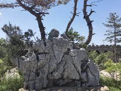 -爱新觉罗皇家博物院